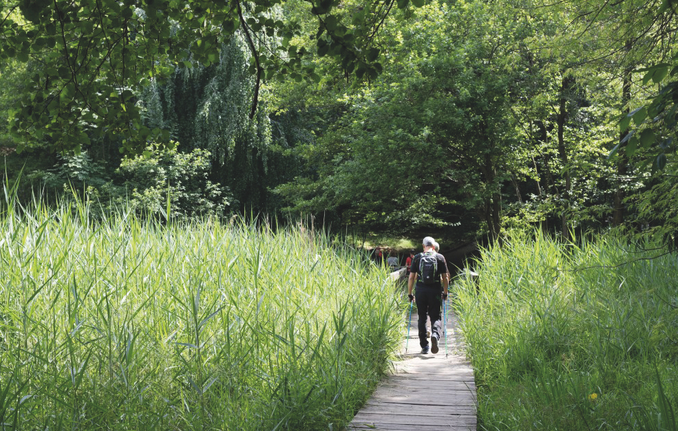 Radio RSI Rete Tre - baobab - Intervista a Sandro